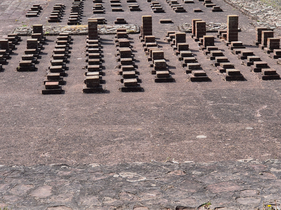 Wroxeter Roman City-Wroxeter必去景点