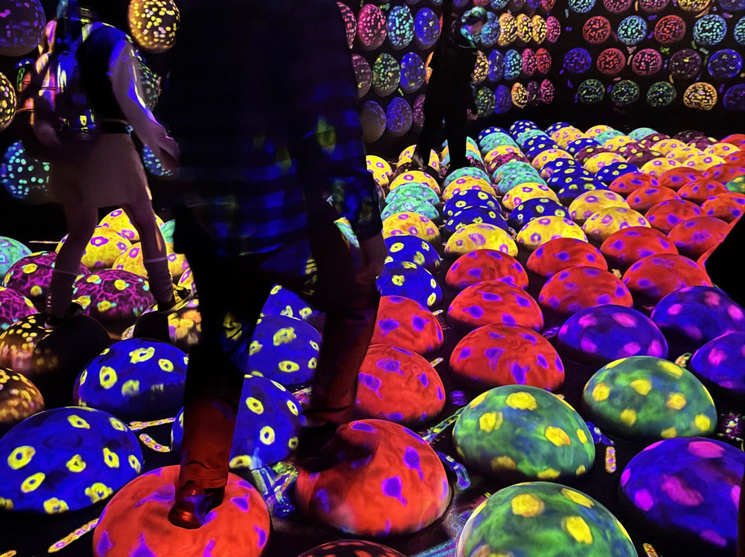 teamLab Planets TOKYO-Toyosu必去景点