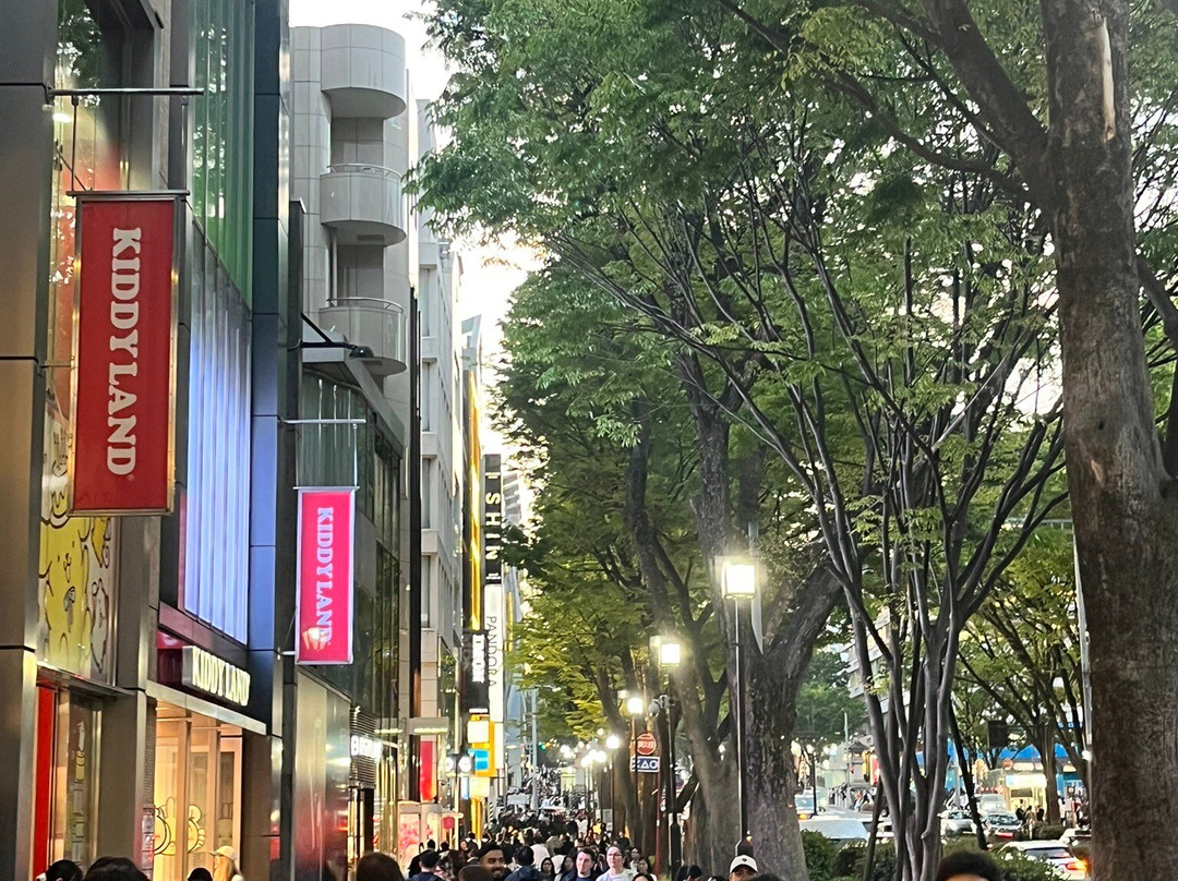 表参道之丘-涩谷区必去景点