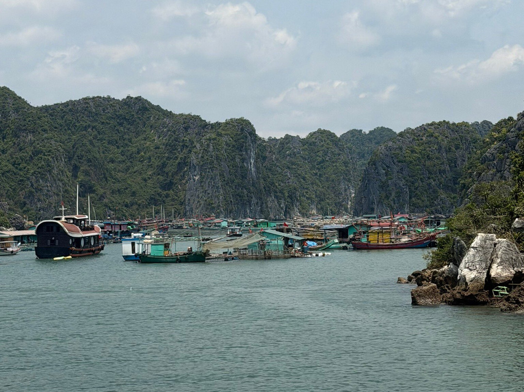 Cat Ba Ocean Cruises-广宁省必去景点