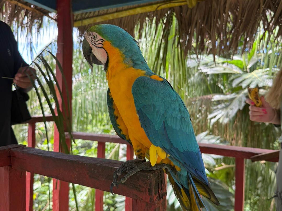 Amazon Fronteras Jungle Tours-莱蒂西亚必去景点