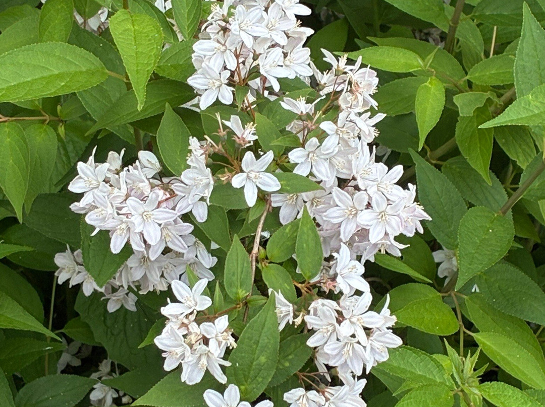 Botanische Tuin Dr. Costerus-Hilversum必去景点