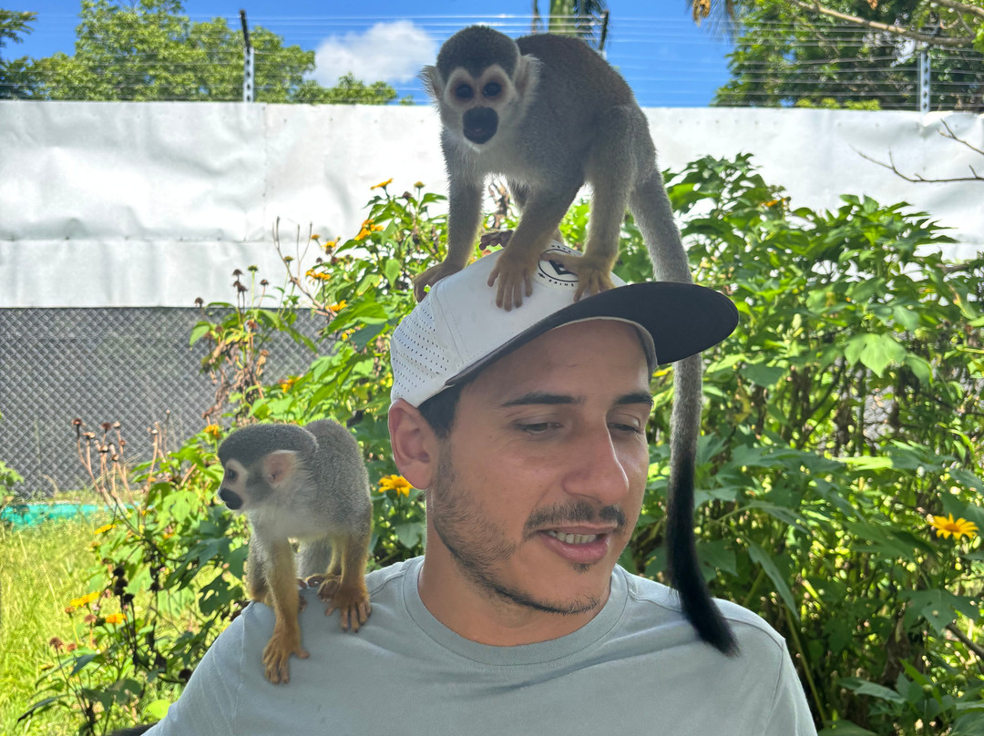 Monkey Home Puerto Plata-普拉塔港必去景点