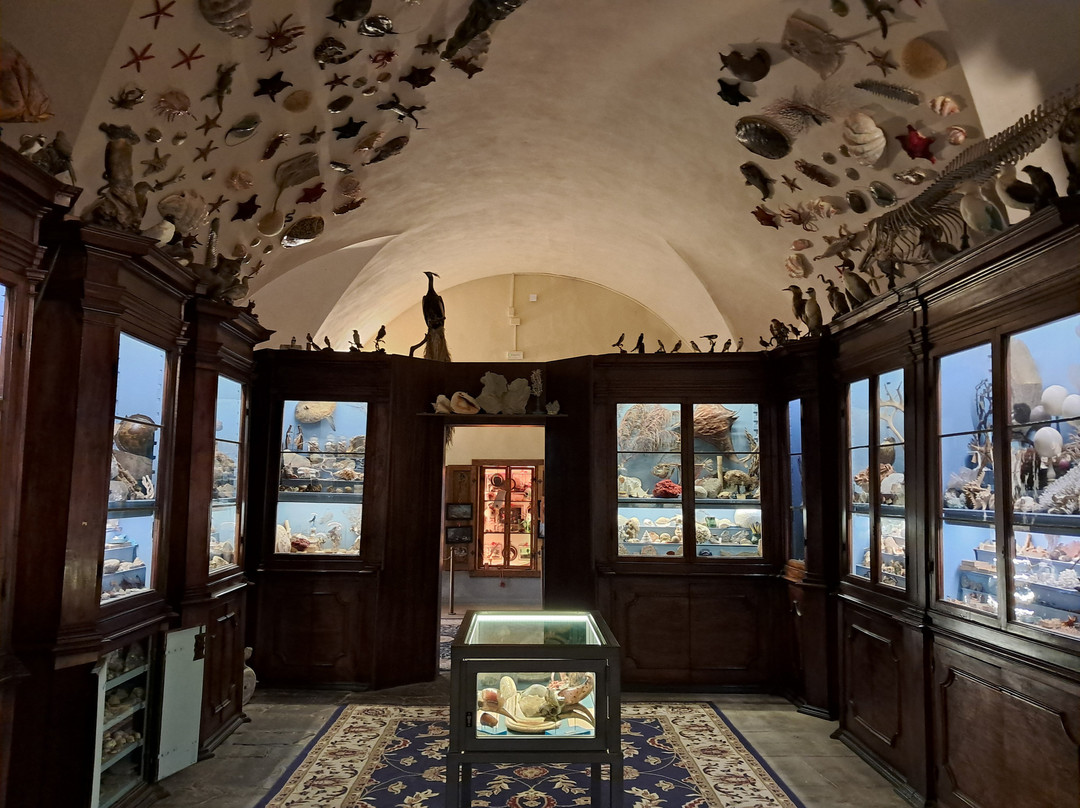 Museo di Storia Naturale - Universita di Pisa-Calci必去景点
