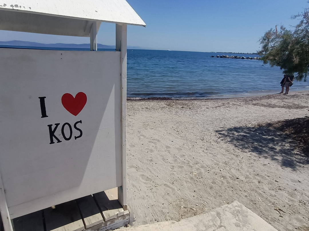 Kos Harbour-Kos Town必去景点