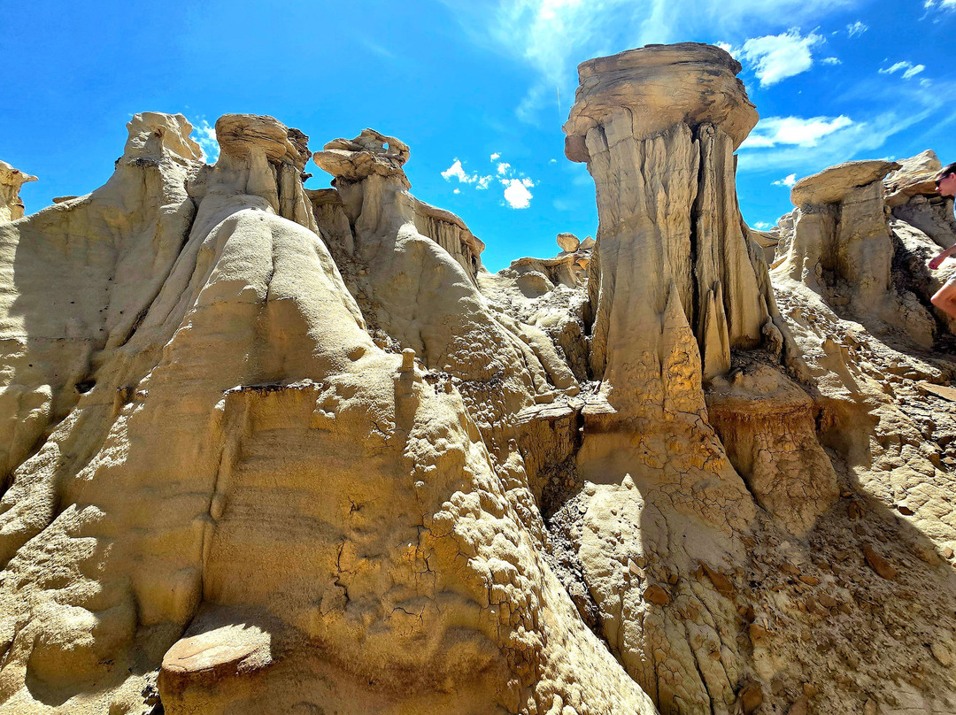 Ah-Shi-Sle-Pah Wilderness Study Area-Bloomfield必去景点