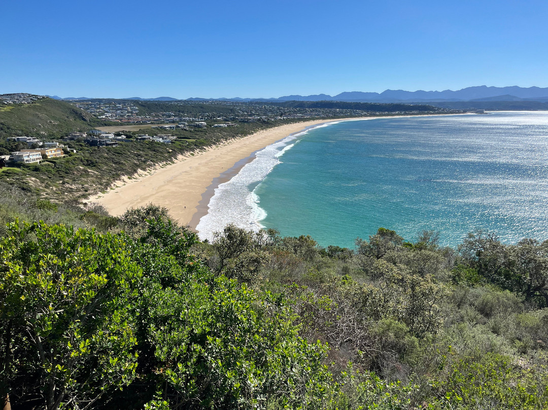 Robberg Nature Reserve-普利登堡湾必去景点