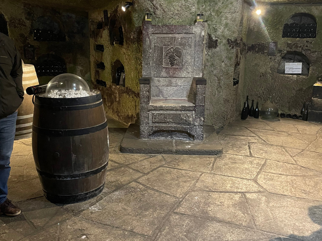 Caves Louis de Grenelle-梭缪尔必去景点