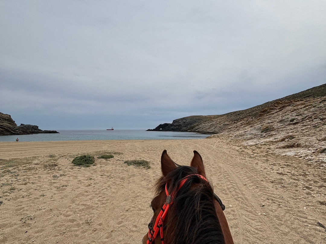Mykonos Horseland-米科诺斯必去景点