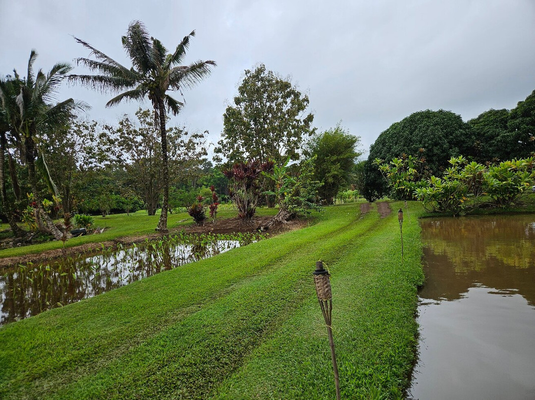 Kauai Safaris-利胡埃必去景点