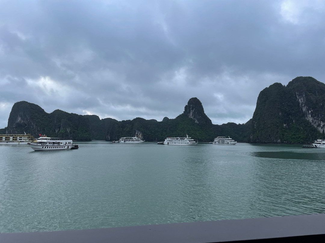 Alisa Premier Cruise-下龙湾必去景点
