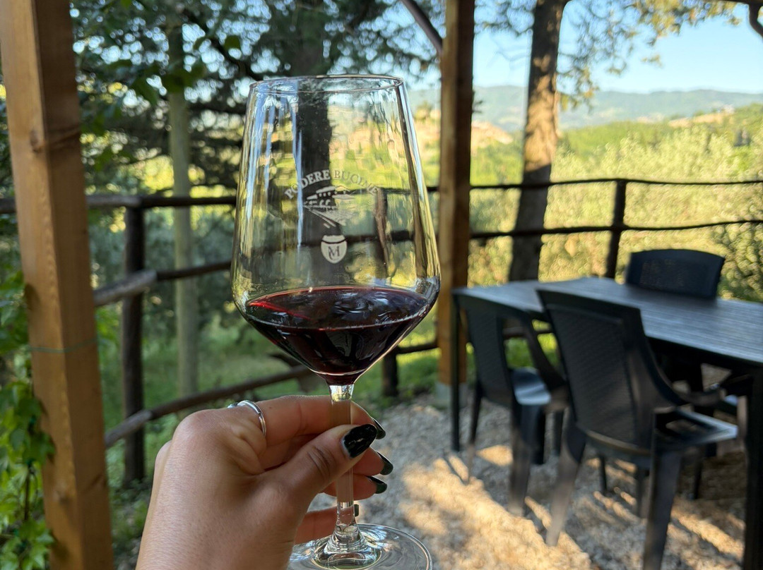Podere Bucine Winery-格雷韦伊恩基亚恩蒂必去景点