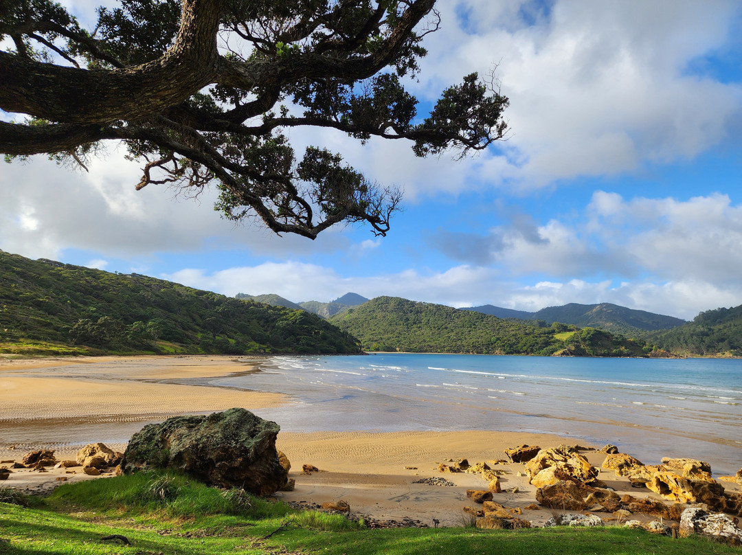 Mt Hobson via Windy Canyon-Great Barrier Island必去景点