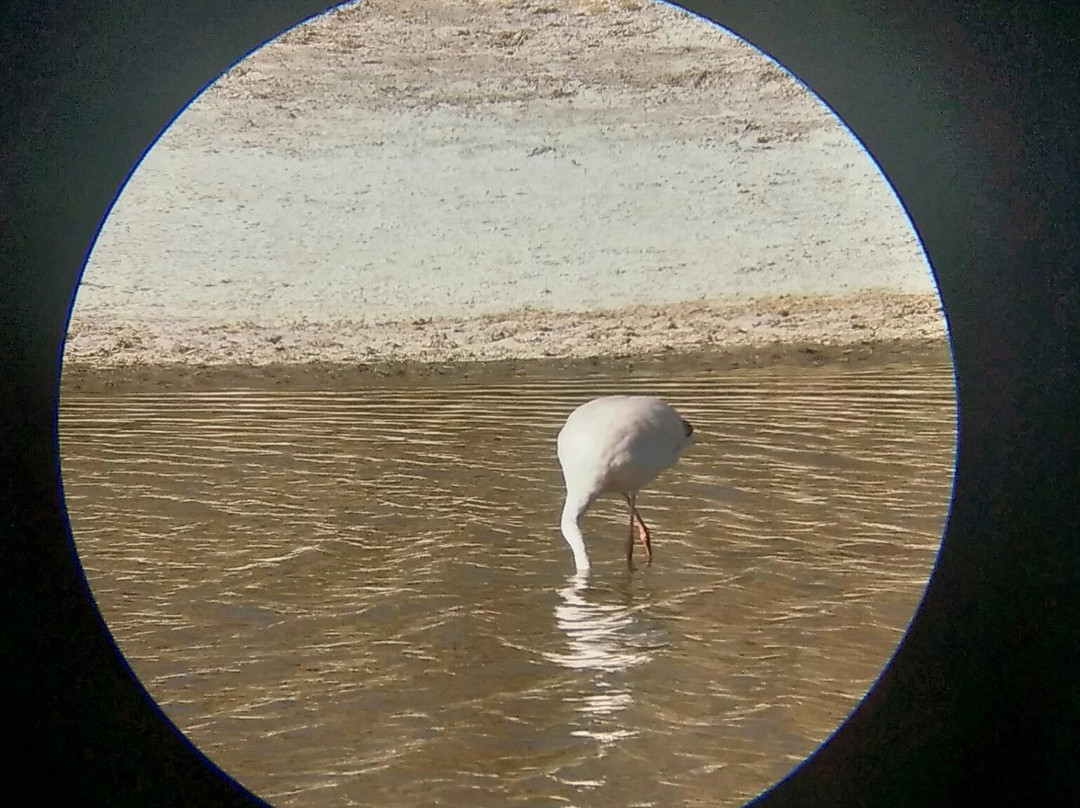 On Safari Atacama-圣佩德罗-德阿塔卡马必去景点