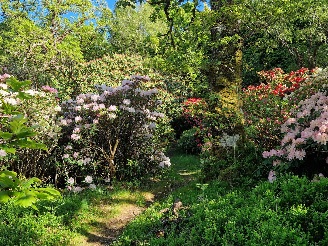 Angus's Garden, Barguillean-Taynuilt必去景点