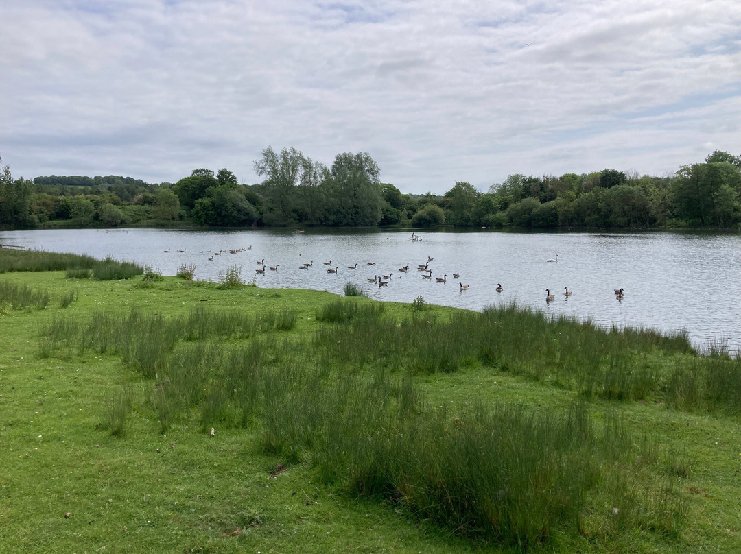 Marfield Wetlands Nature Reserve-马沙姆必去景点