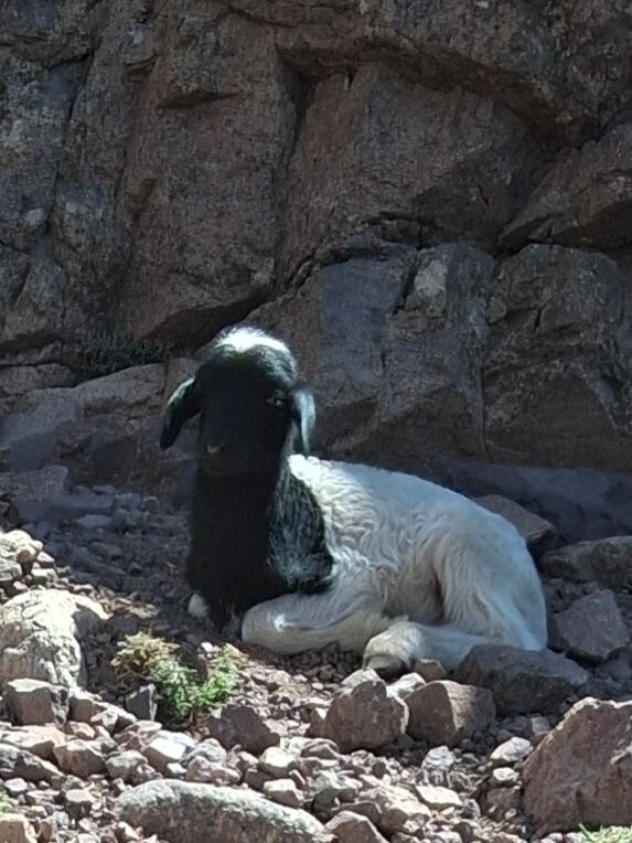 Toubkal National Park-Toubkal必去景点