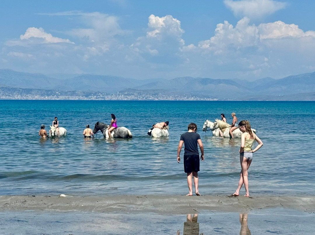 North Corfu Horses-Peritheia必去景点