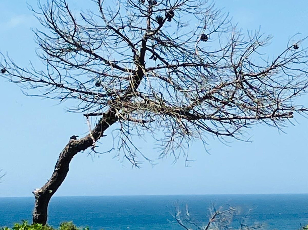 Praia De Benagil-拉戈阿必去景点