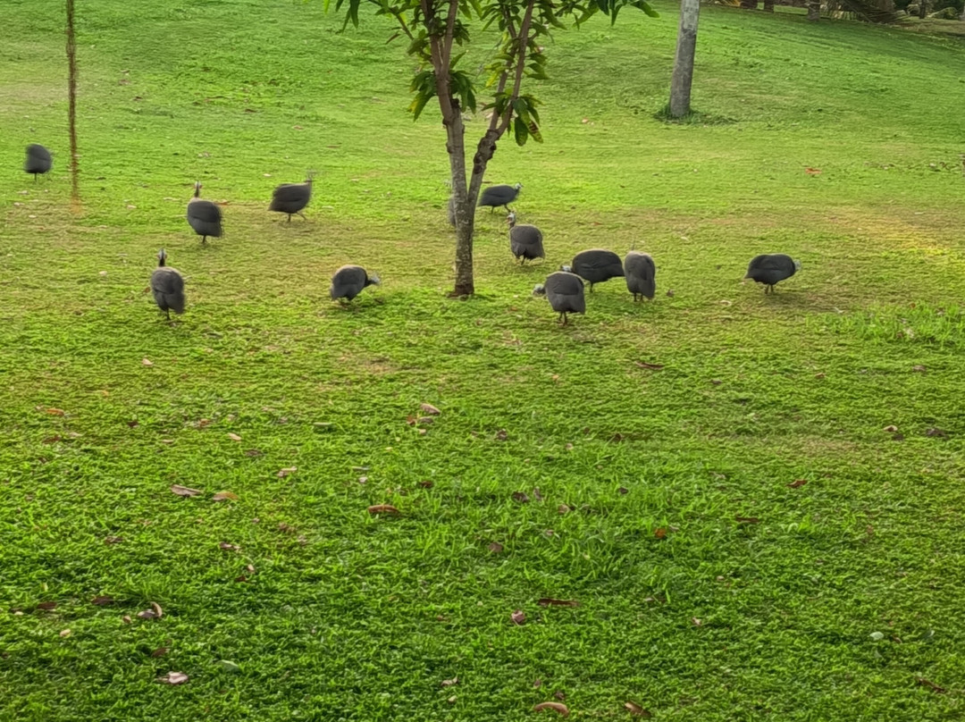 Birds Resort Hambantota主图
