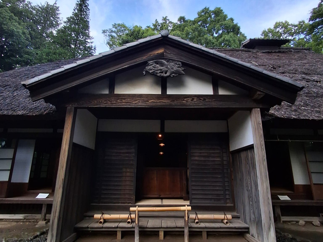 Tokyo Metropolitan Koganei Park-小金井市必去景点
