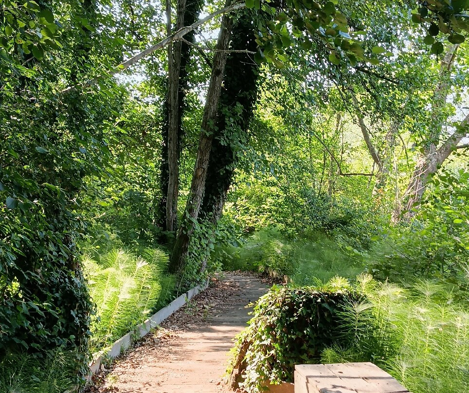 Parco Palude di Onara-Onara必去景点