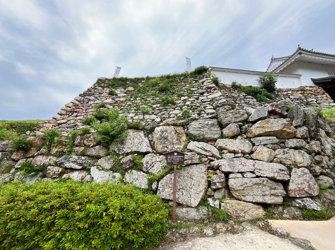 Hamamatsu Castle-滨松市必去景点