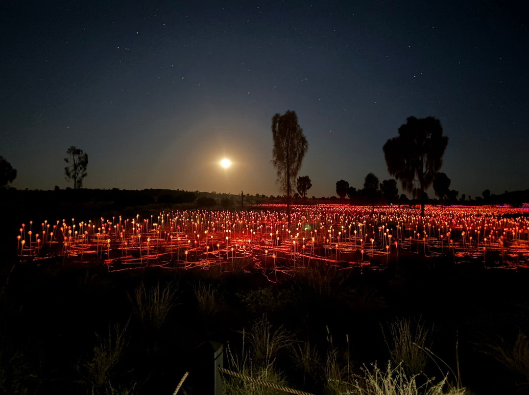 Field of Light-乌鲁鲁-卡塔丘塔国家公园必去景点