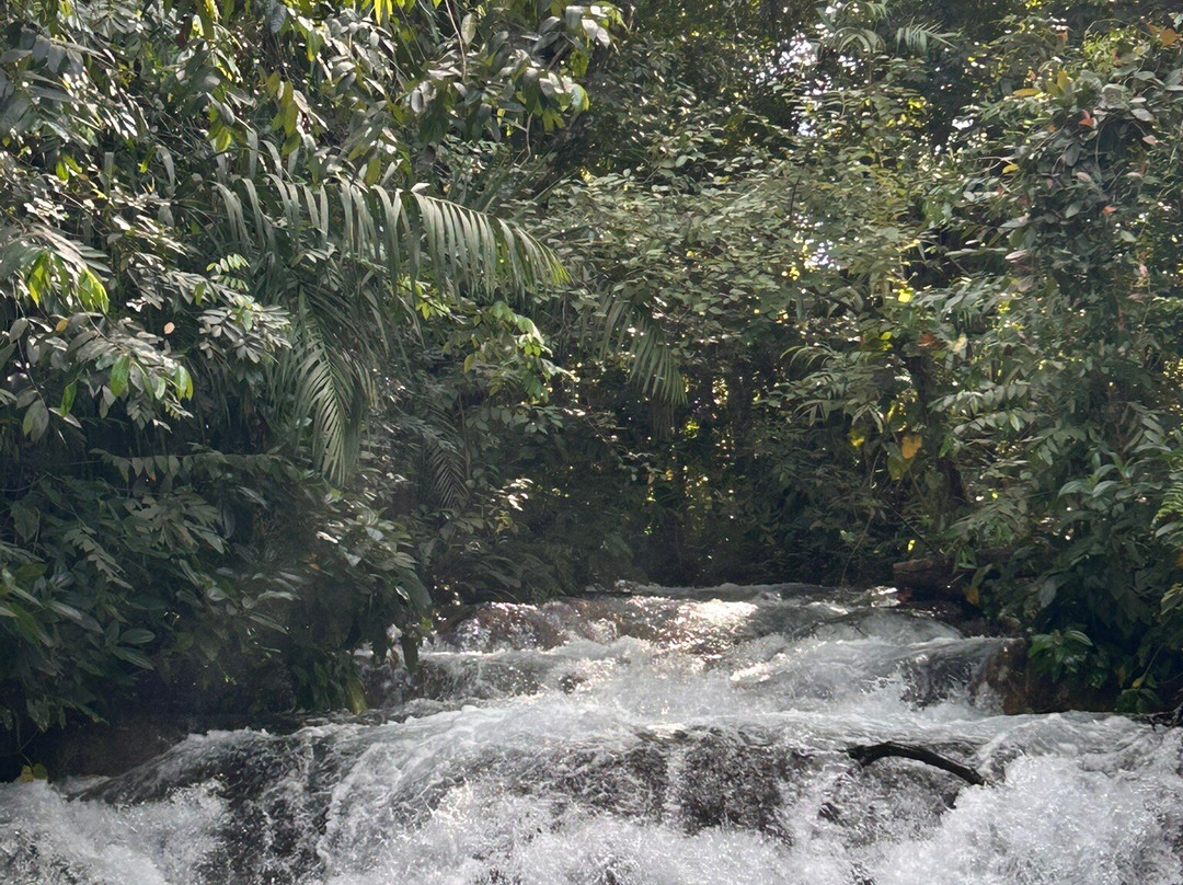 Cerrado Rupestre-Palmas必去景点