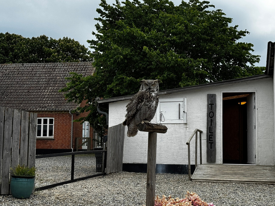 Falkecenter Samsø-萨姆索岛必去景点