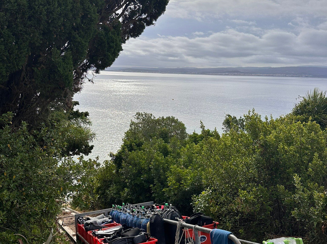 Capo Galera Diving Center-阿尔盖罗必去景点
