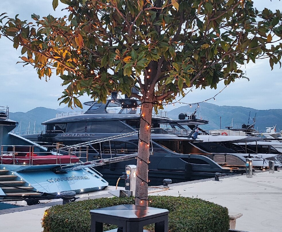 Porto Montenegro-Tivat Municipality必去景点