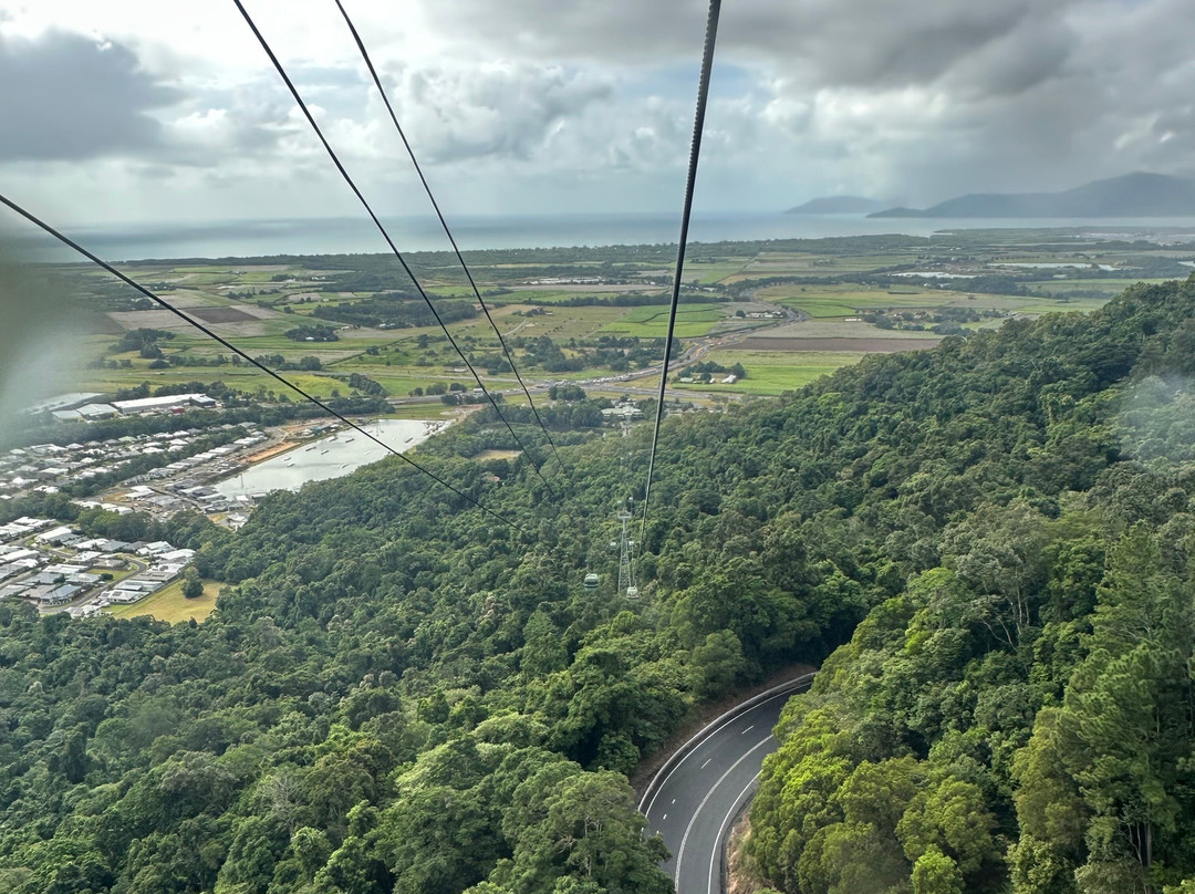 Skyrail Rainforest Cableway-Smithfield必去景点