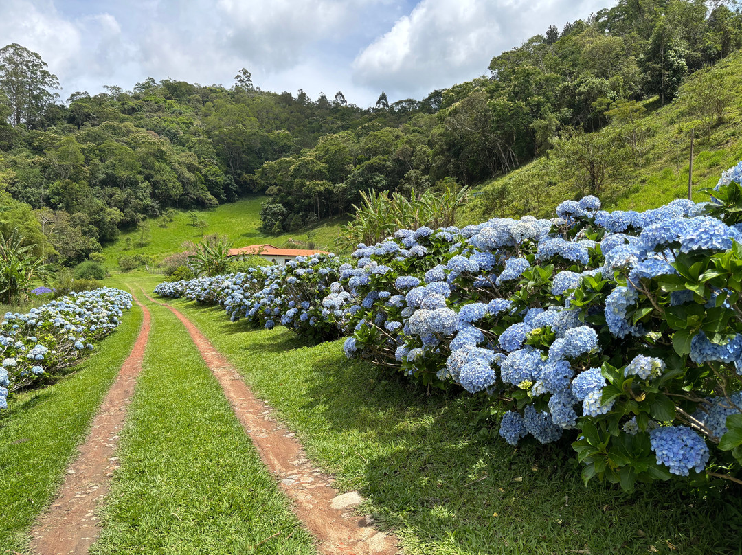 Pousada Quintal das Hortensias