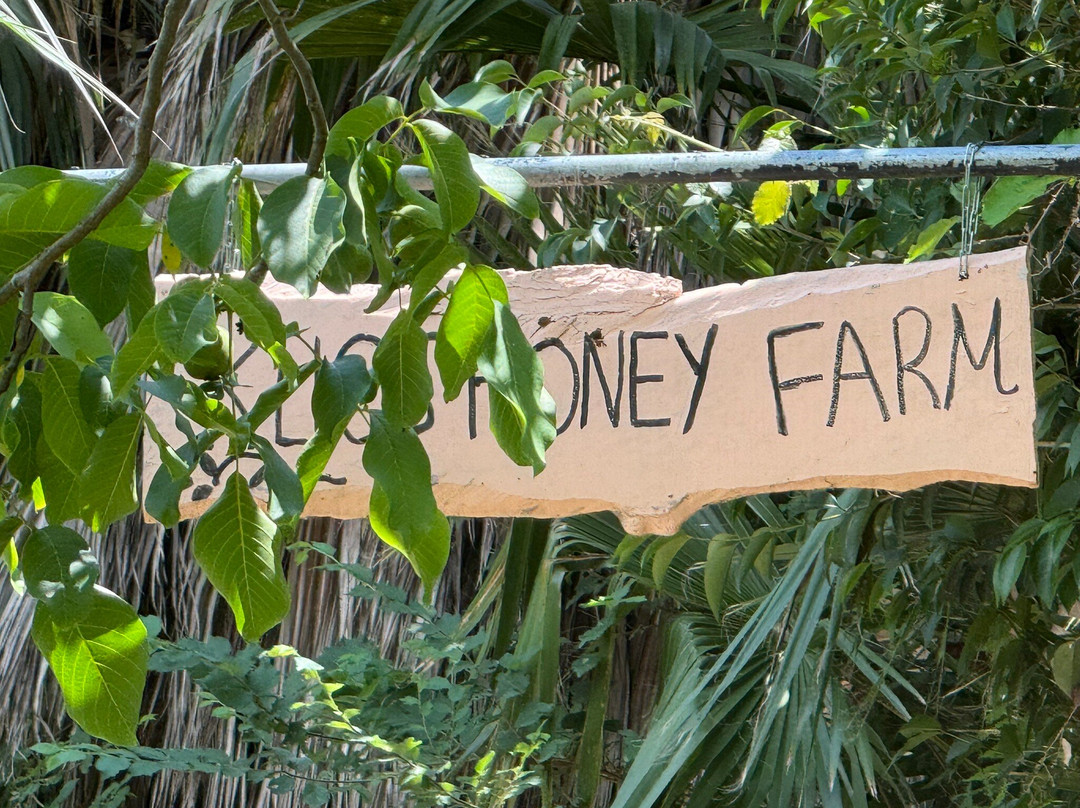 Klio's Honey Farm-奥林匹亚必去景点