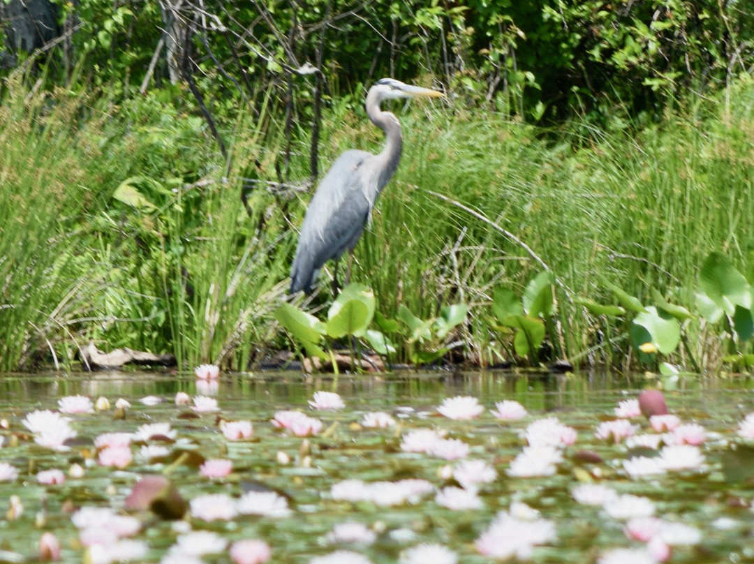 French Creek State Park-Elverson必去景点