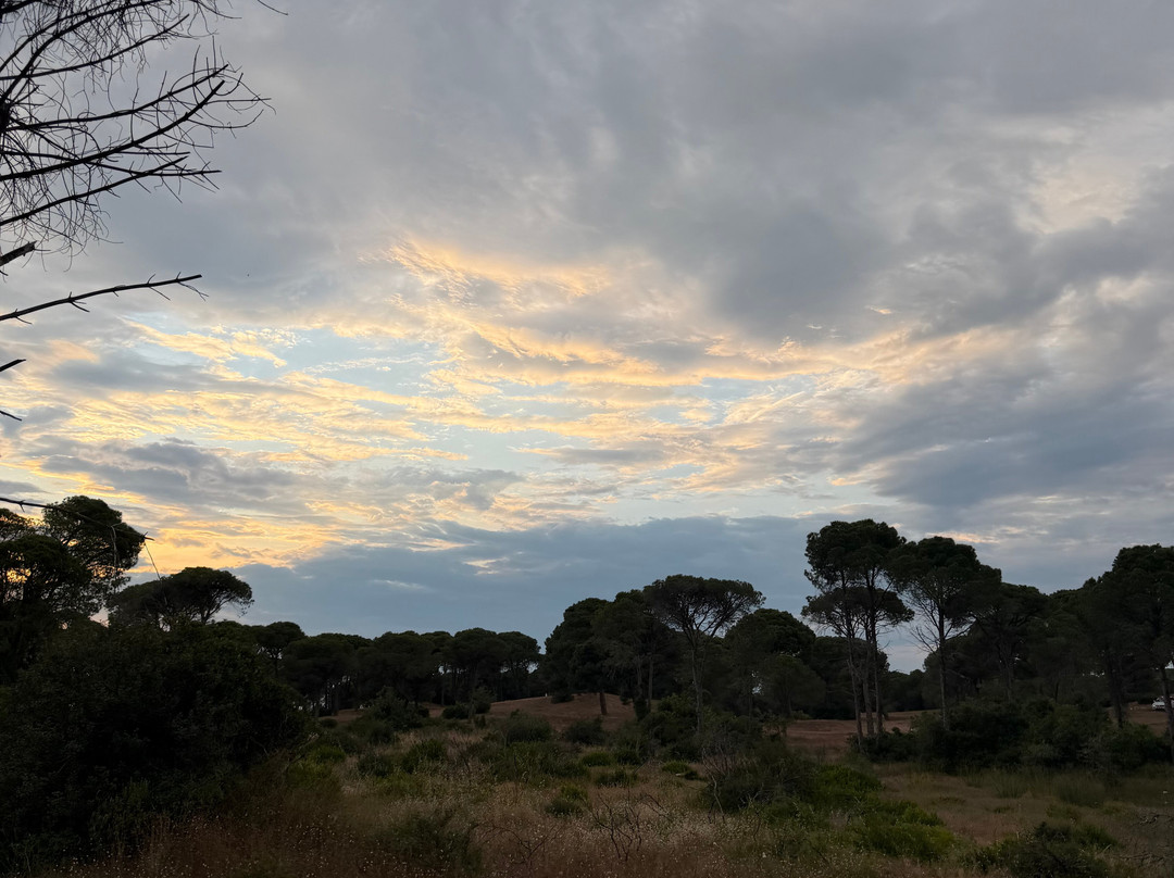 Belek Safari | Horse Riding Tour-Kumkoy必去景点
