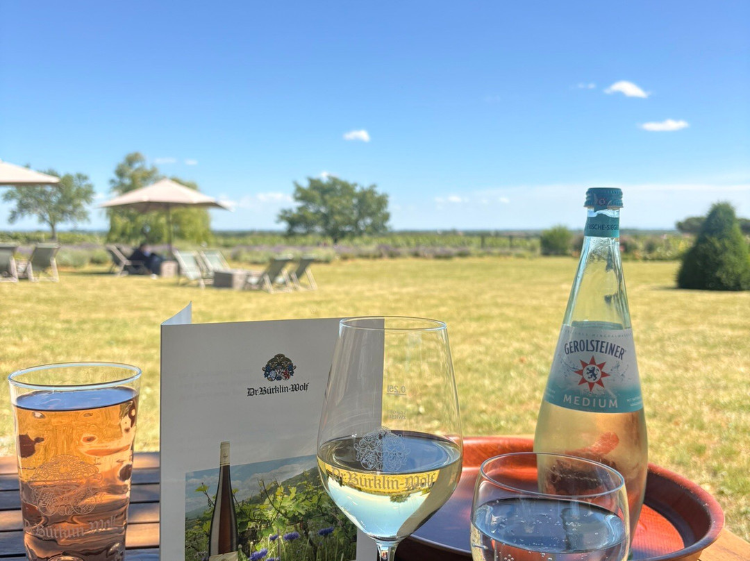 Weingut Dr. Buerklin-Wolf-Wachenheim an der Weinstrasse必去景点