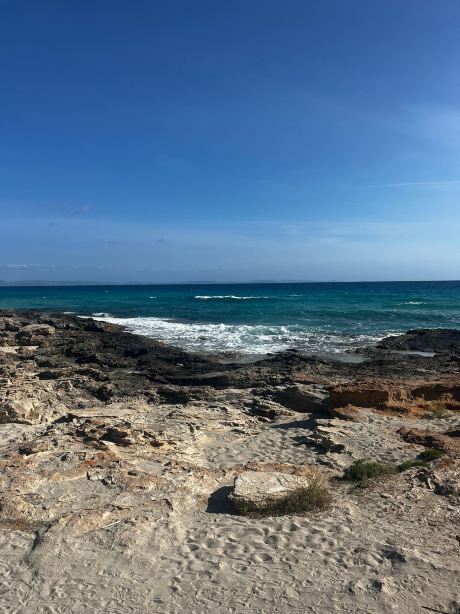 拉法列特旅馆-旅行者
