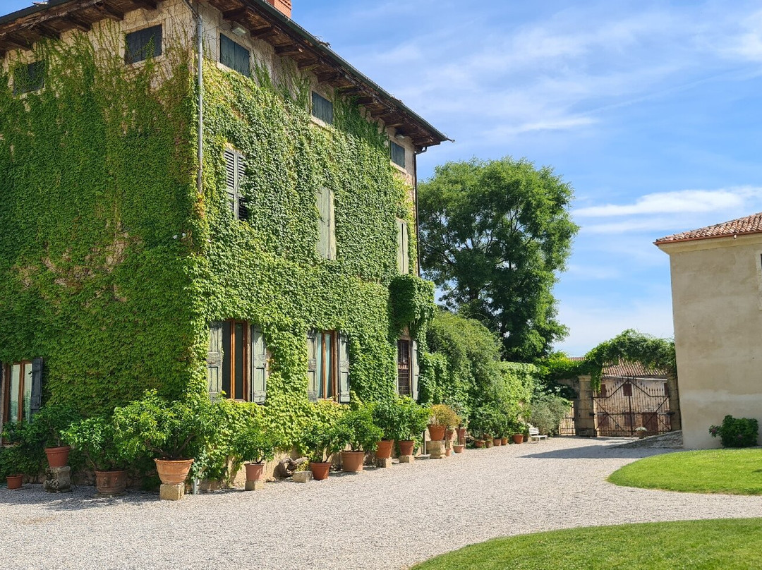 Villa Allegri, Arvedi-维罗纳必去景点