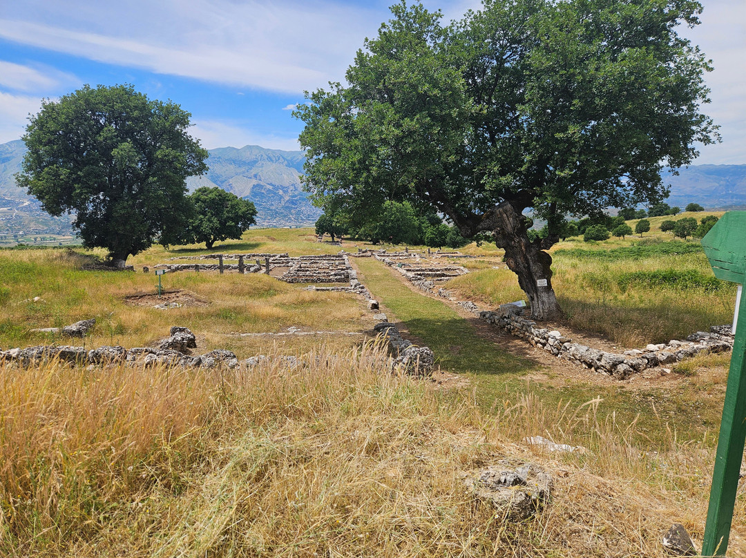 Antigonea Archaeological Park-吉诺卡斯特必去景点
