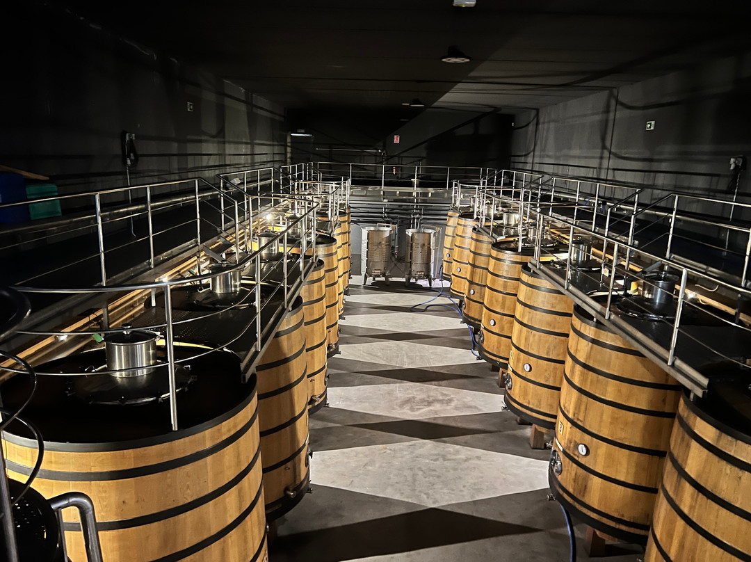 Bodegas Martinez Lacuesta-哈罗必去景点