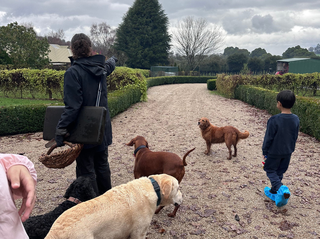 The Truffle Farm Tasmania-德洛兰恩必去景点
