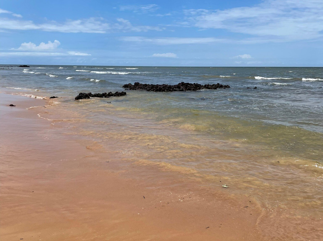 Praia dos Castelhanos-Anchieta必去景点