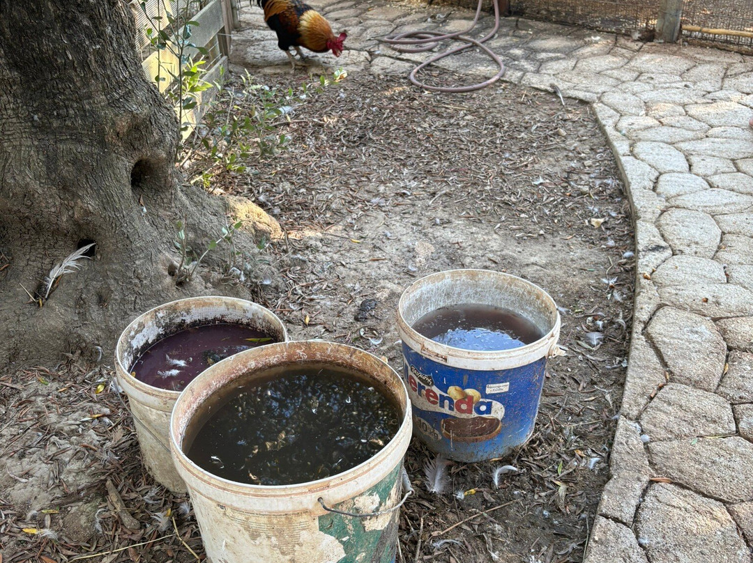Picnic in Leeda's Farm-Lithakia必去景点