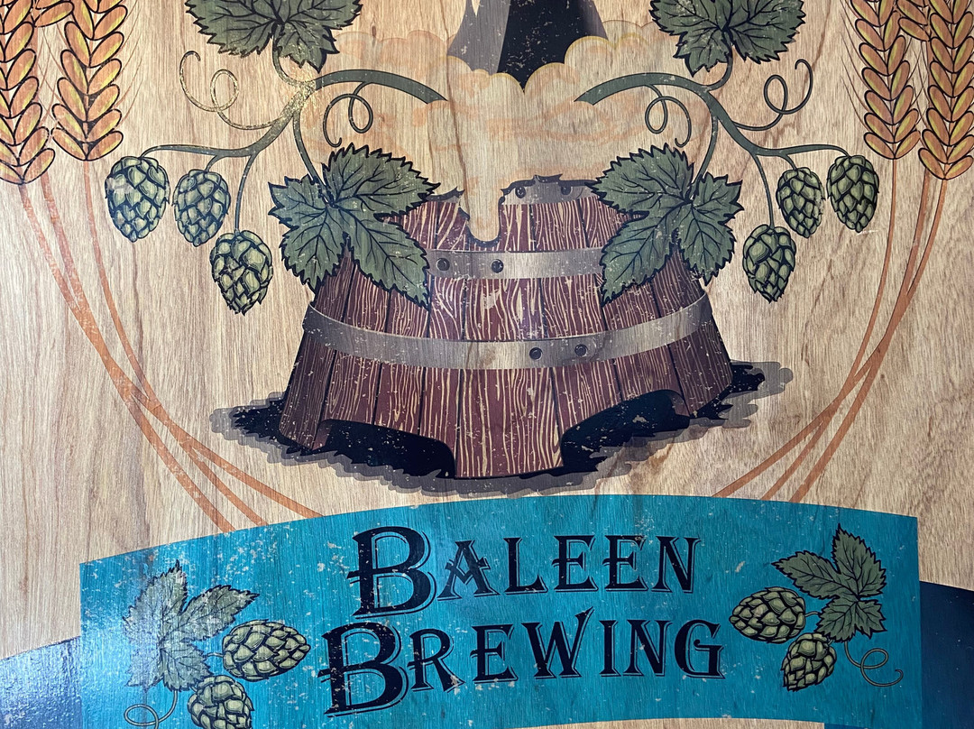 Baleen Brewing Co-凯奇坎必去景点