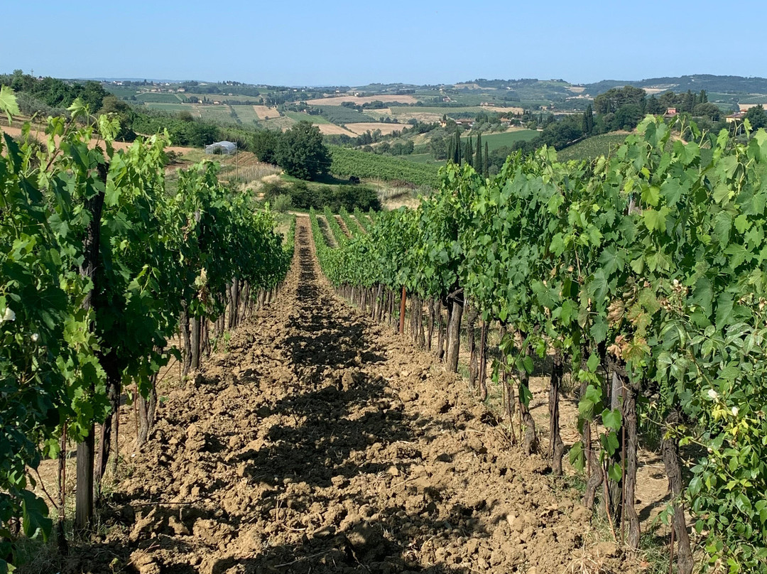 Tuscany for Cruise-里窝那必去景点