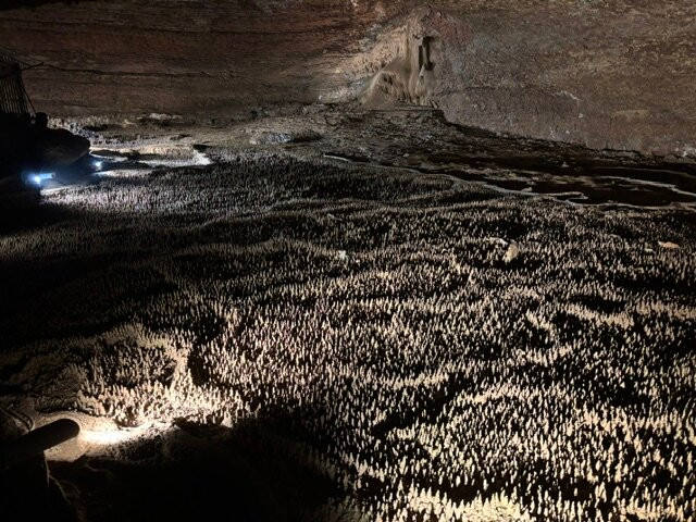 Grotte de Trabuc-Mialet必去景点