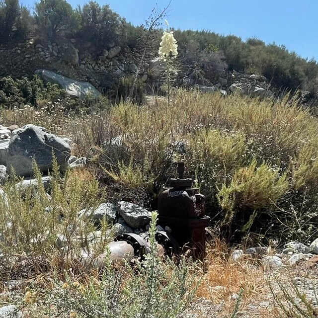 North Etiwanda Preserve-库卡蒙格牧场必去景点