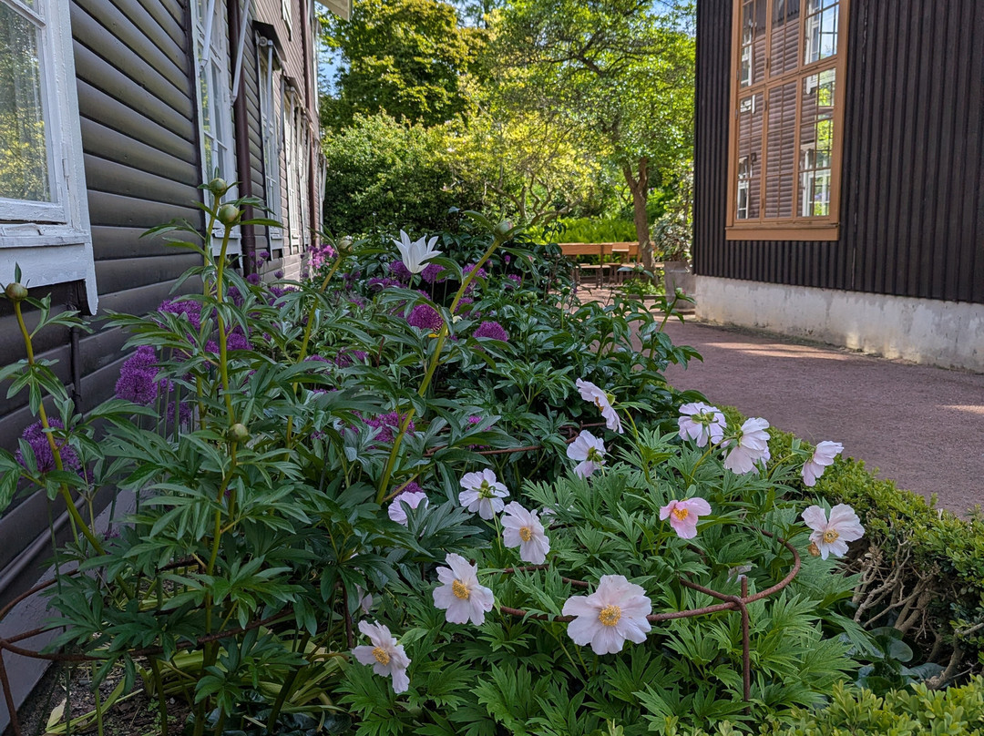 The Garden Society (Tradgardsforeningen)-哥德堡必去景点